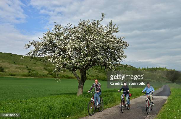 Radfahren, Unstrut-Radweg, Sachsen-Anhalt, Deutschland