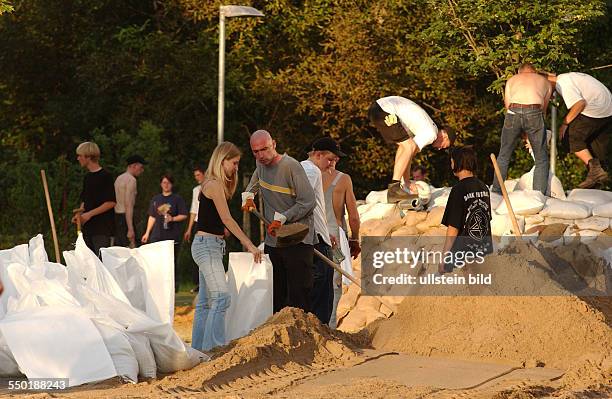 Freiwillige Helfer füllen Sands�äcke in Magdeburg