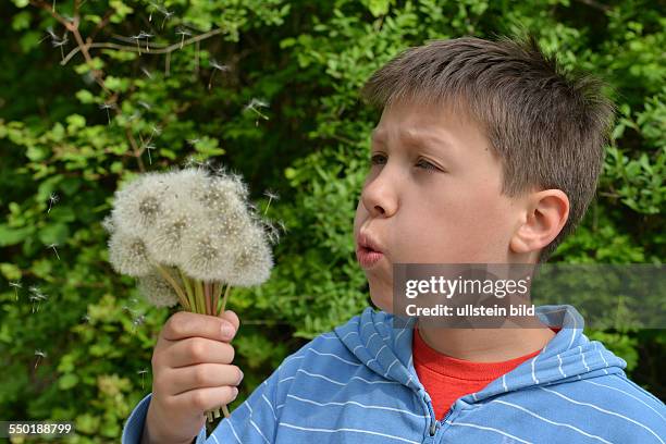 Kind mit Pusteblumen