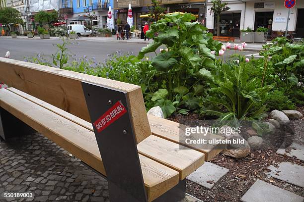 Berlin/Prenzlauer-Berg: Liebevoll angelegte Mini-Strassengaerten im Prenzlauer Berg, wie hier in der Oderberger Strasse.. Dieser Garten mit Bank...