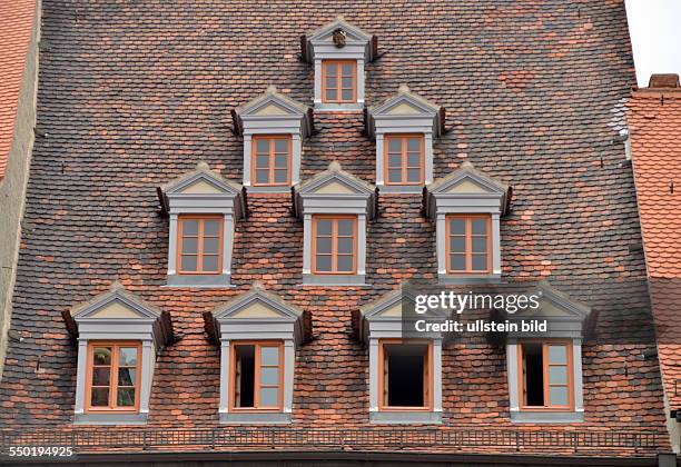 Dach, Schindeln, Fenster, Marktplatz, Naumburg, Sachsen-Anhalt, Deutschland