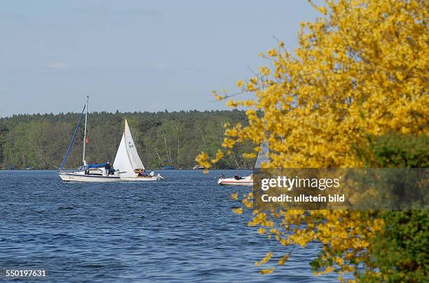 Segelboote auf dem Seddinsee in Berlin-Schmöckwitz