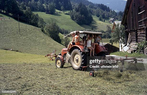 Austria, ca. 1968, Ferien auf dem Bauernhof