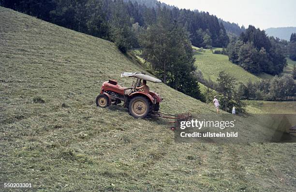 Austria, ca. 1968, Ferien auf dem Bauernhof