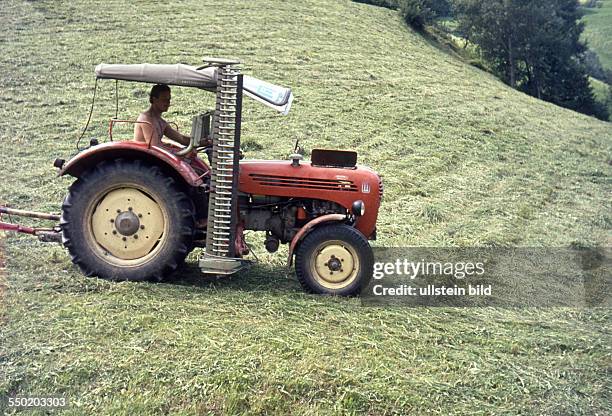 Austria, ca. 1968, Ferien auf dem Bauernhof