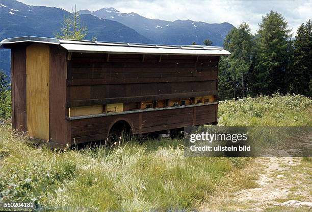 Bienenwagen