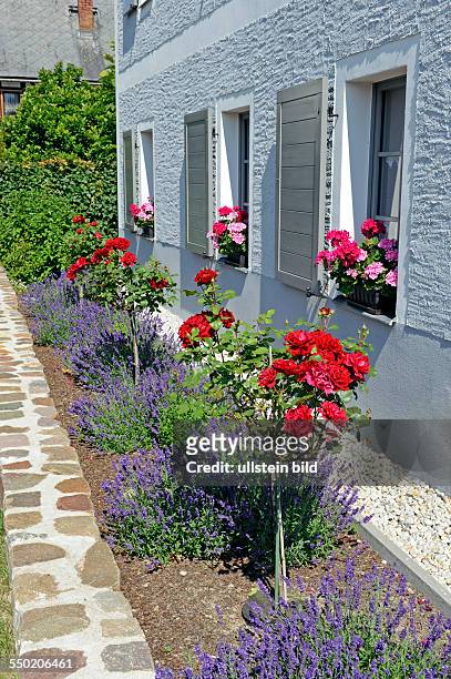 Gepflegtes altes Landhaus, davor schöne Blumenrabatte mit Hochstammrosen und Lavendel, eingefasst von kniehoher Bruchsteinmauer