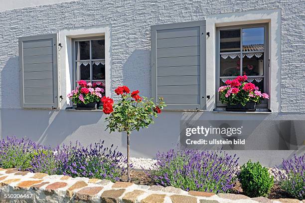 Gepflegtes altes Landhaus, davor schöne Blumenrabatte mit Hochstammrosen und Lavendel, eingefasst von kniehoher Bruchsteinmauer