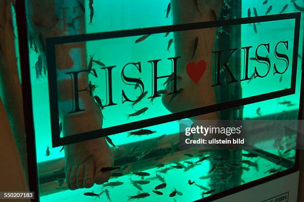 Fische Die An Den Füßen Knabbern