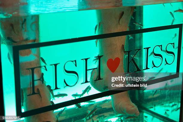 Doktorfische knabbern an den Füßen und Beinen der Kunden in einem Wasserbecken der Firma Fish and Kiss in Kopenhagen