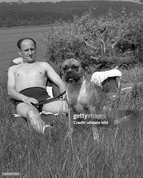 Holidays: dog owner in swimming wear sunbathing, with his boxer