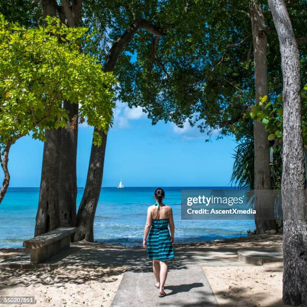 frau folgt gehweg zum strandrand, meer - barbados stock-fotos und bilder