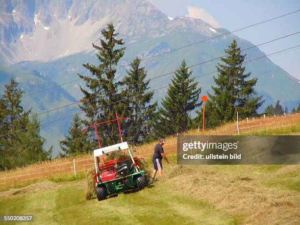 Heuernte an einem Steilhang im Naturpark Tiroler Lechtal bei Holzgau, aufgenommen am 23. Juli 2013.