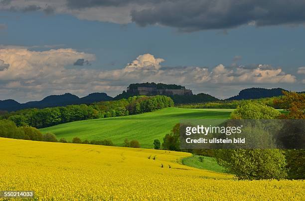Saechsische Schweiz, bluehendes Rapsfeld, gruene Felder und Felspanorama unter dunklen Wolken. V.l.n.r. Papststein, Gohrisch, Koenigstein und...