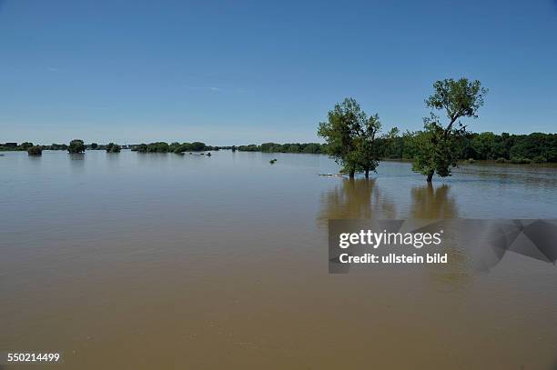 Hochwasser der Elbe bei Schönebeck nahe Magdeburg - Sachsen-Anhalt