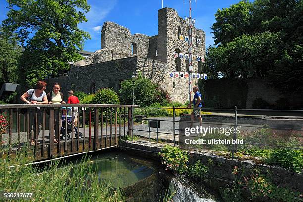 Bad Lippspringe, Lippe, Jordan, Teutoburgian Forest, Teutoburg Forest / Egge Hills Nature Park, East Westphalia, North Rhine-Westphalia, NRW, castle...