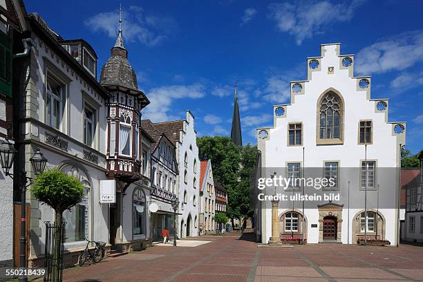 Brakel, Nethe, Nethegau, Oberwaelder Land, Teutoburgian Forest, Eggegebirge, Teutoburg Forest / Egge Hills Nature Park, East Westphalia, North...