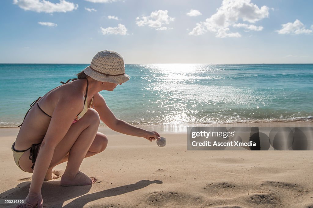 Woman finds sand dollar while beachcombing