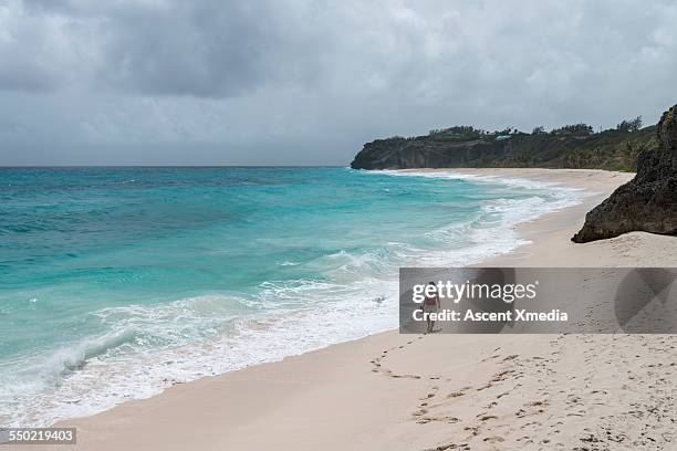 woman walks along empty beach, leaving tracks - barbados beach stock pictures, royalty-free photos & images