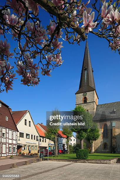 Werther , Ravensberger Mulde, Ravensberger Huegelland, TERRA.vita Nature Park, Teutoburgian Forest, East Westphalia, North Rhine-Westphalia, NRW,...