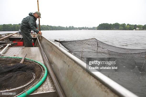 Lake and river fishing in Potsdam. The 'Fischerhof Potsdam' is the oldest lake and river fishing in Potsdam. Mario Weber goes fishing every day on...