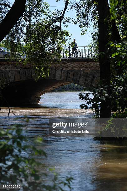 Hochwasser führende Elbe in Magdeburg