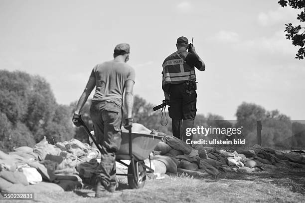 Berliner Feuerwehr im Hochwassereinsatz - Staffelführer der Freiwilligen Feuerwehr aus Berlin bei der Deichverteidigung in Pechau bei Magdeburg