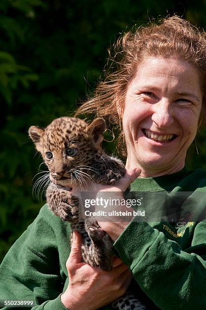 Erstmals der Öffentlichkeit zeigte sich im Tierpark Berlin der am geborene männliche Java-Leopard , der von seinen Tierpflegern den Namen "Timang"...