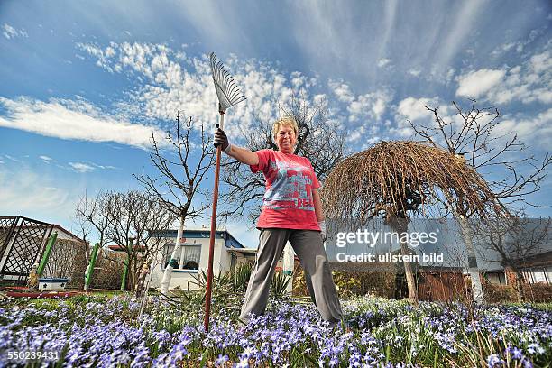 Fruehling Garten Blumen bluehen Kolonie Land in Sonne , Brigitte Leisner mit Rechen vor der Laube