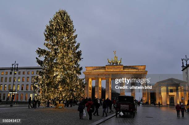 Weihnachtsbaum vor dem Brandenburger Tor auf dem Pariser Platz in Berlin