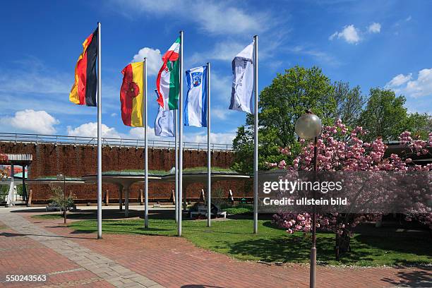 Bad Salzuflen, Lippisches Bergland, East Westphalia, North Rhine-Westphalia, NRW, spa park, graduation works, flags, spring blossom, magnolia tree