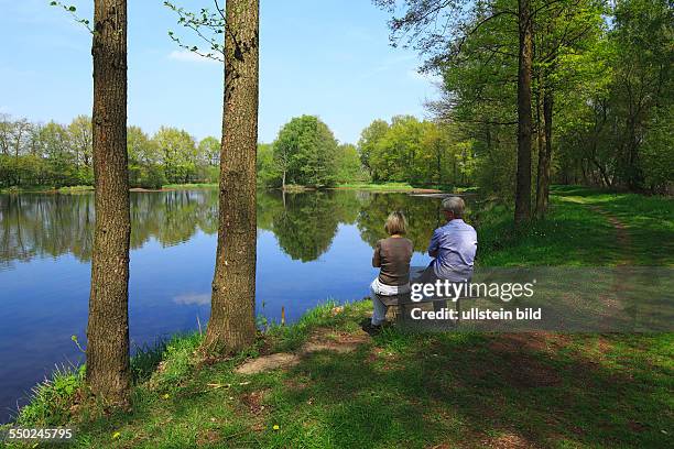 Delbrueck, North Rhine-Westphalia, NRW, D-Delbrueck-Steinhorst, Steinhorster Becken, nature reserve, lake, pond, forest, trees, forest lake, couple...