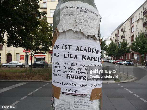 Wo ist Aladdin - das lila Kamel? - Verlustanzeige an einem Ampelmast in Berlin-Prenzlauer Berg