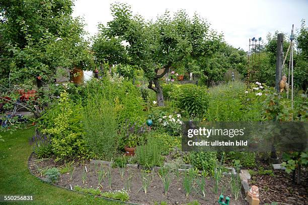 Schrebergarten in Berlin-Zehlendorf