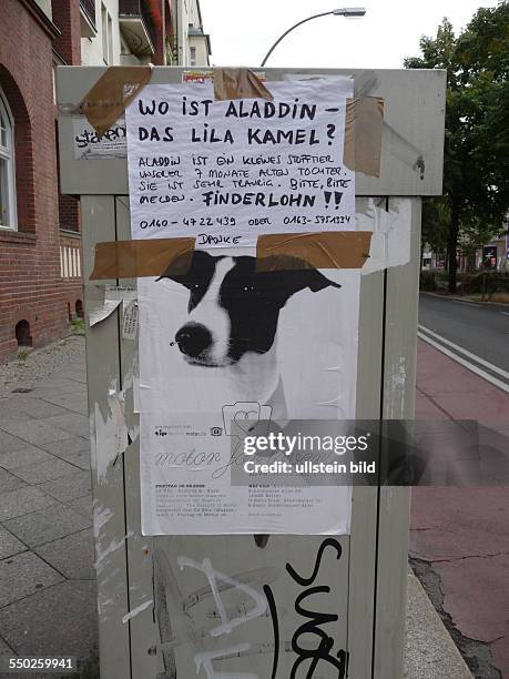 Wo ist Aladdin - das lila Kamel? - Verlustanzeige in Berlin-Prenzlauer Berg