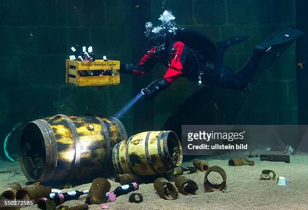 Ein Taucher legt einige Flaschen Rotsporn auf den Grund des 126.000 Liter grossen Aquariums " Stralsunder Hafenbecken " im Ozeaneum Stralsund. Die...
