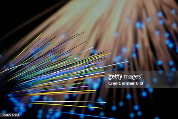 Single fibers of a fiber optic cable, they enable extremly fast data transfer