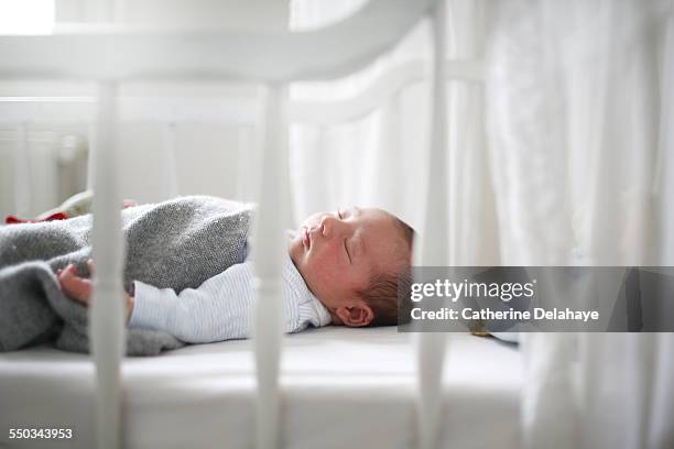 a new born sleeping in his cradle - cot imagens e fotografias de stock