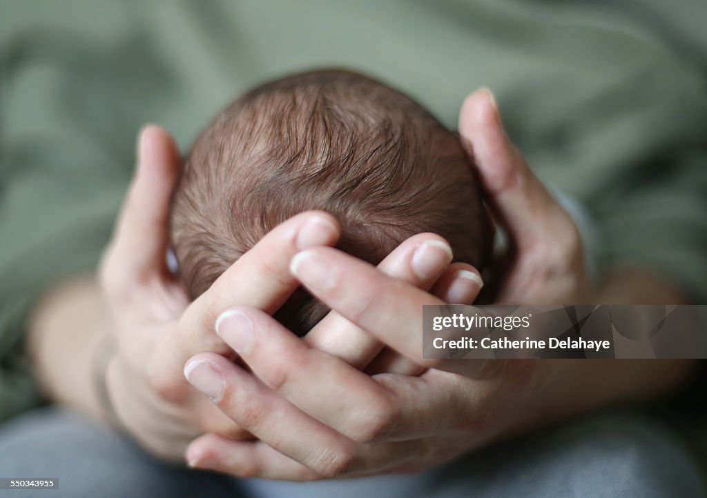 A head of a new born in his mum's hand