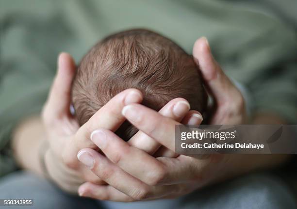 a head of a new born in his mum's hand - baby head in hands stock pictures, royalty-free photos & images