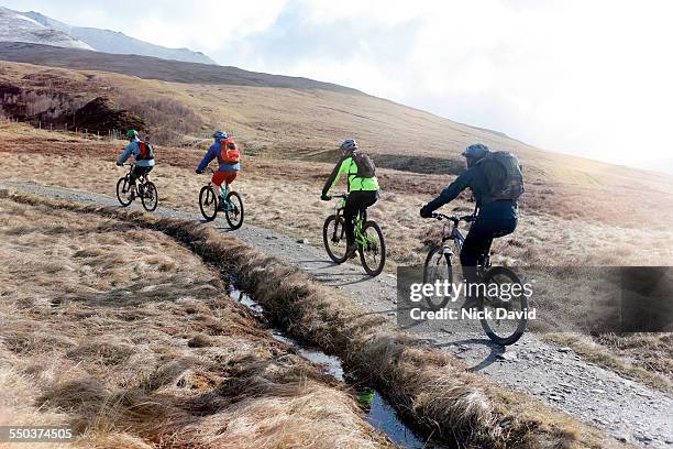 a small group of mountain bikers cycling along a mountain bike trail - ciclismo gruppo foto e immagini stock