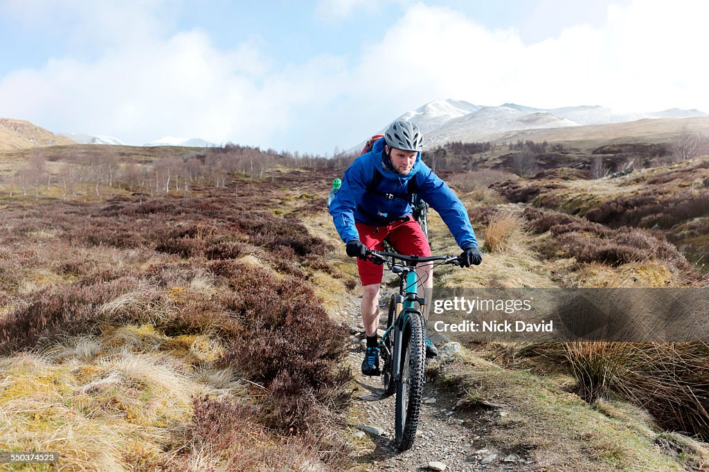 A small group of mountain bikers cycling along a mountain bike trail