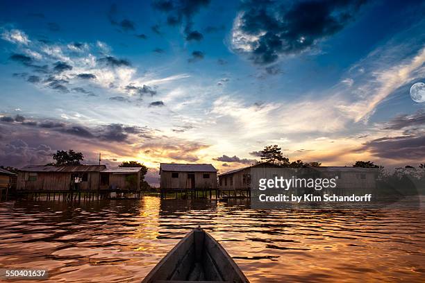 arrival - colombia jungle stock pictures, royalty-free photos & images