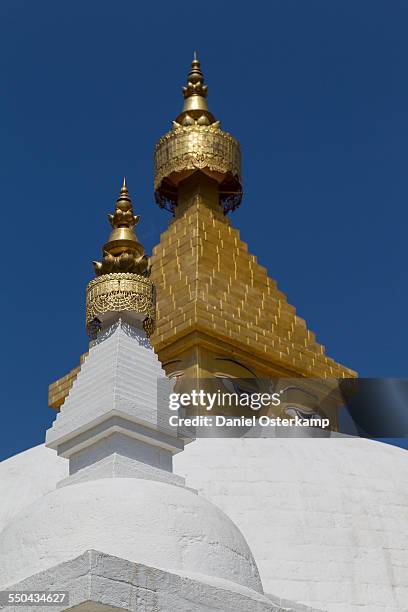 Choling Choling Monastery Photos and Premium High Res Pictures - Getty Images