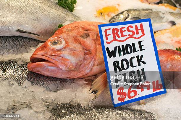 Red Rock Fish Photos and Premium High Res Pictures - Getty Images