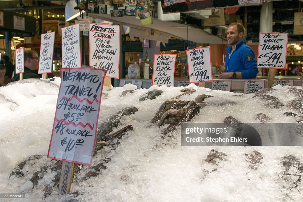 Fresh Fish