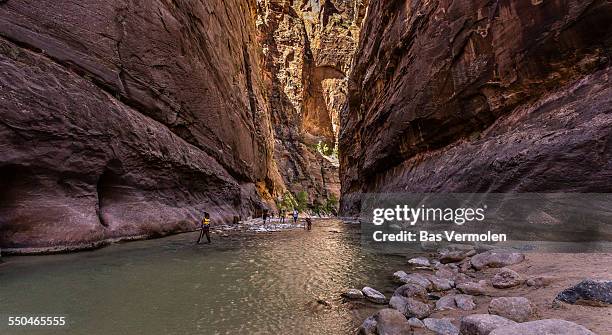 hiking in the narrows, zion - zion national park stock-fotos und bilder