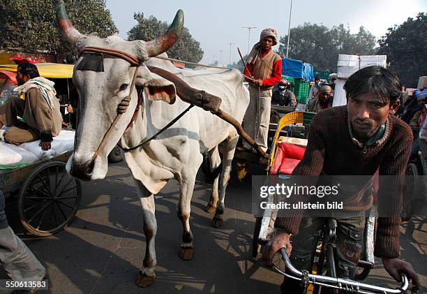 Neu Delhi, Indien, 14.01.10 - Ochsenkarre, Fahrradfahrer, Rikschas und Autos auf einer Strassenkreuzung in Neu-Dehli.