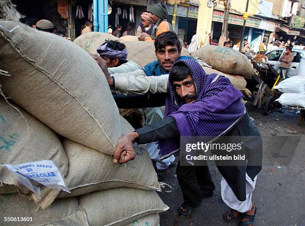 Neu Delhi, Indien, 14.01.10 - Zwei Maenner schieben einen mit Saecken beladenen Anhaenger.