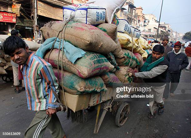 Neu Delhi, Indien, 14.01.10 - Zwei Maenner schieben einen mit Saecken beladenen Anhaenger.